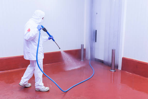 Best Driveway Cleaning and Restoration in East St Louis, IL